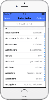 Over 500 Italian Verbs